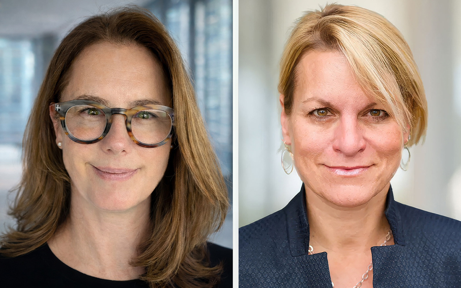Anne K. Davis, Member and Lesley E. Weaver, Member - Stranch, Jennings & Garvey, PLLC